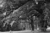 Effie Briest und Schloss Nennhausen